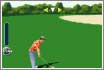 Flash Golf master