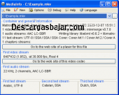 MediaInfo 19 captura de pantalla