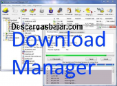 Download Manager gratis 6.25 captura de pantalla