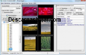 JPhotoTagger Windows 0.37.8 captura de pantalla